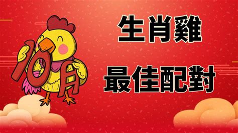 屬雞跟什麼生肖合|生肖配對：屬雞的和什麼屬相最配